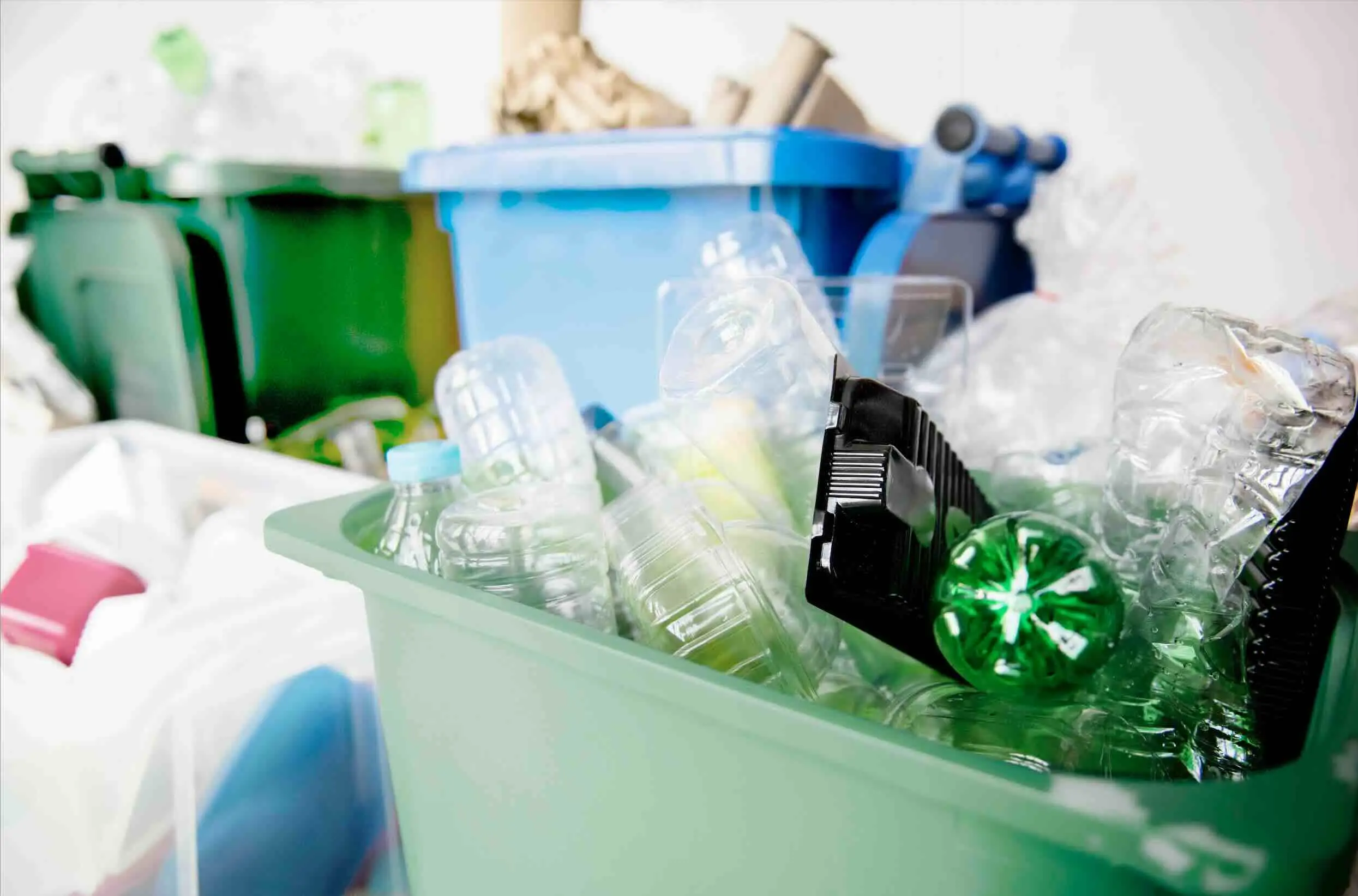 Substitution des plastiques et réemploi en restauration collective : un guide pratique pour réussir sa transition